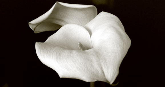 callas